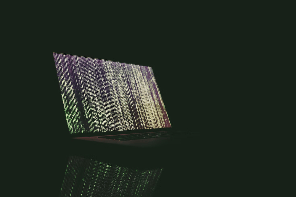 Software Development_thumbnail_2
