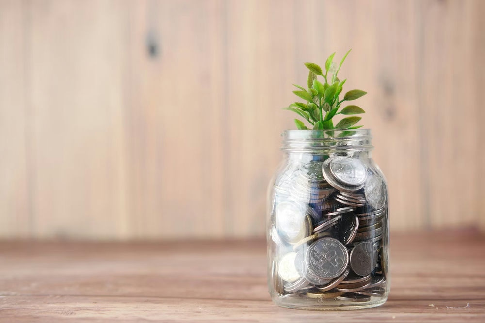 33 profitable ideas at low costs_thumbnail_0