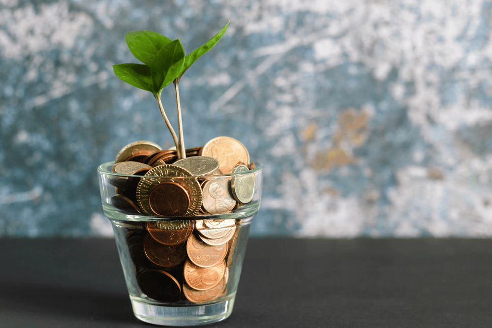 Understand and analyze costs and revenues